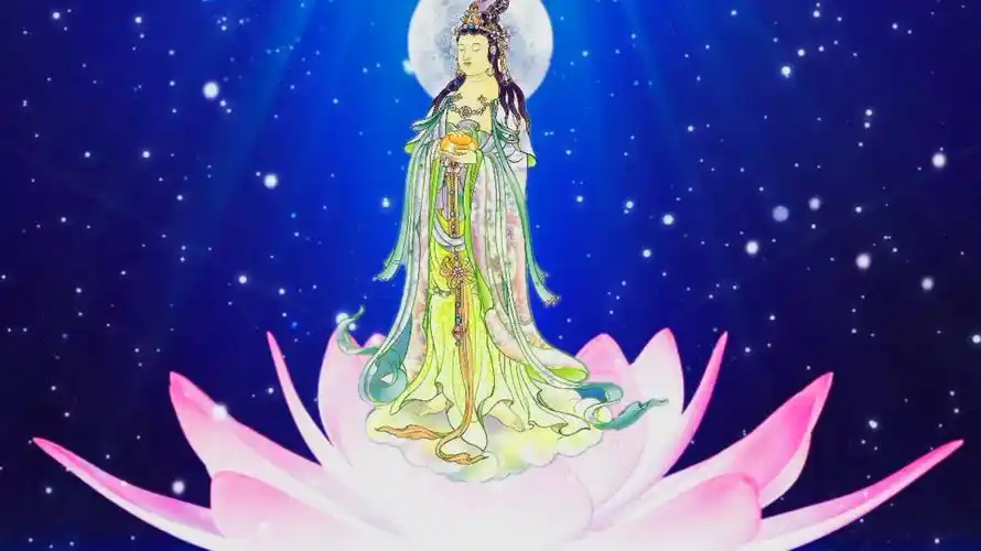 佛前一朵莲_哔哩哔哩_bilibili