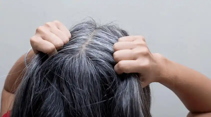 白发遮不住?用这款智能染发梳,再也不用找托尼老师!