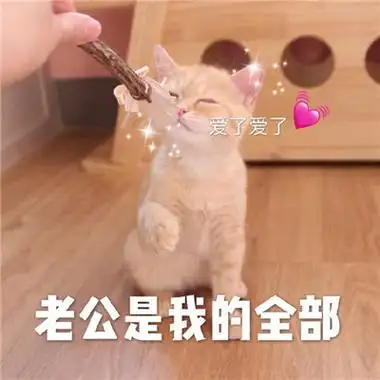 对老公撒娇卖萌的表情包要乖乖听老公话的表情包