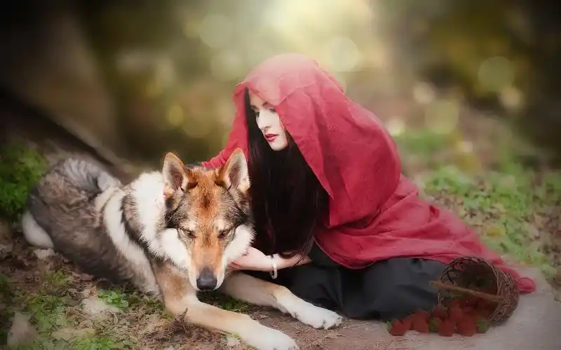 壁纸 女孩和狼,红色头巾