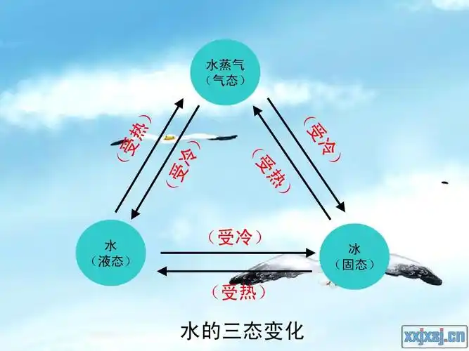 青岛版科学五年级上册23,水的三态变化ppt