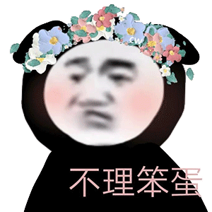 不理笨蛋_不理_笨蛋表情