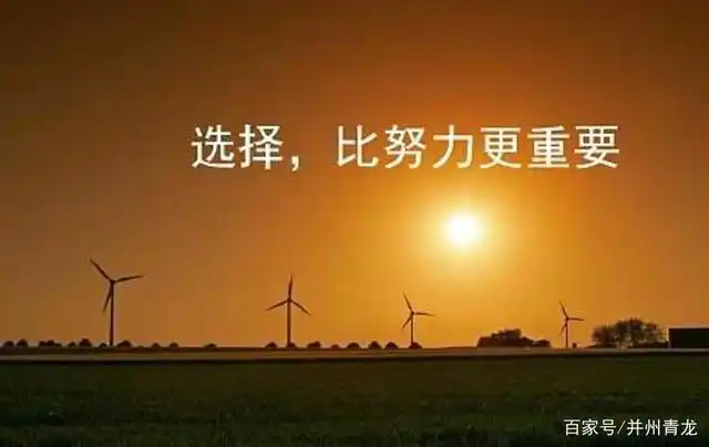 尽管有时一次正确的选择确实大于百倍努力(如何鸿燊选择了博彩业),但