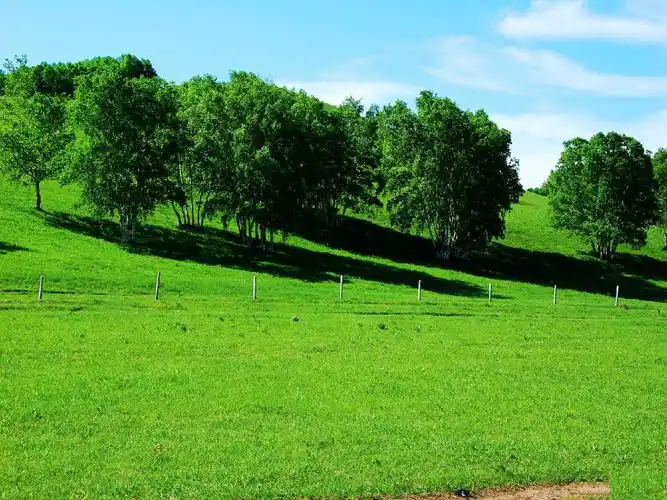 内蒙古乌兰布统草原风光高清图片壁纸