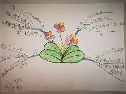 红阳小学学生手绘思维导图作品展示(一学年)