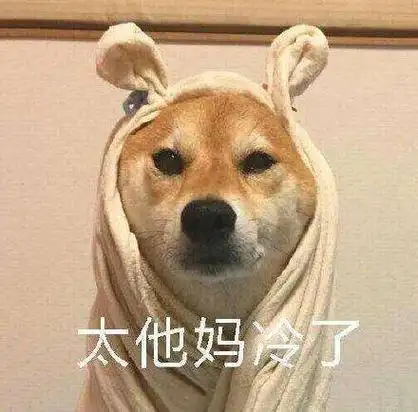 天气冷搞笑表情包请问你是不是想冷死我