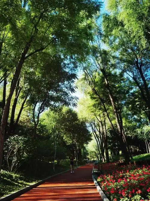 北京这些公园,让风景触手可及|北京市_新浪财经_新浪网