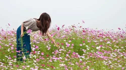 乡村格桑花 美女把它夸