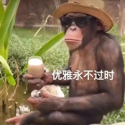 爆笑来袭,可爱表情包盛宴