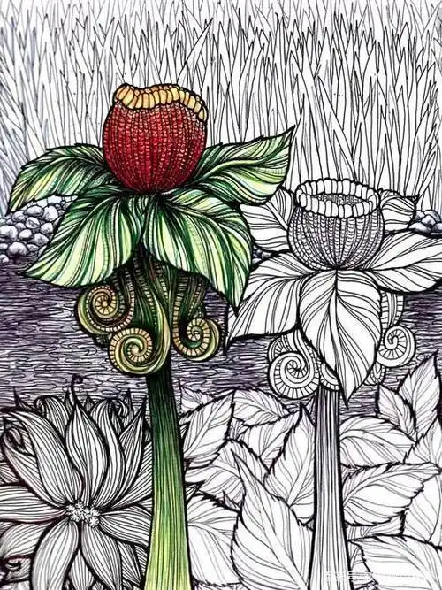 简单好看的小学绘画作品(线描画优秀作品)