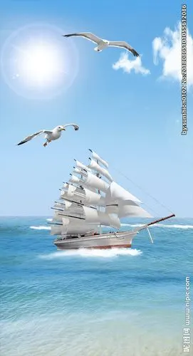 一帆风顺海景帆船海鸥图片
