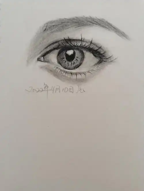 零基础自学绘画之路走起