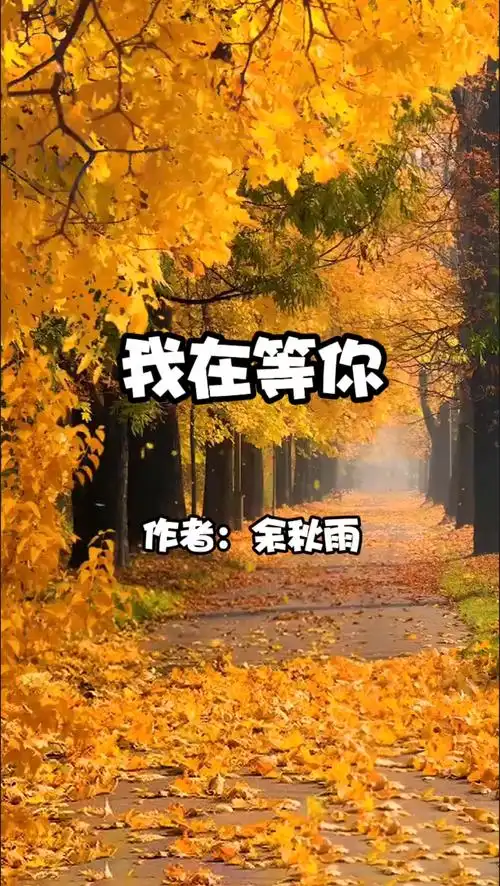 精美现代诗《我在等你》,作者:余秋雨