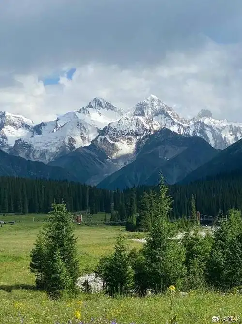 690_920竖版 竖屏