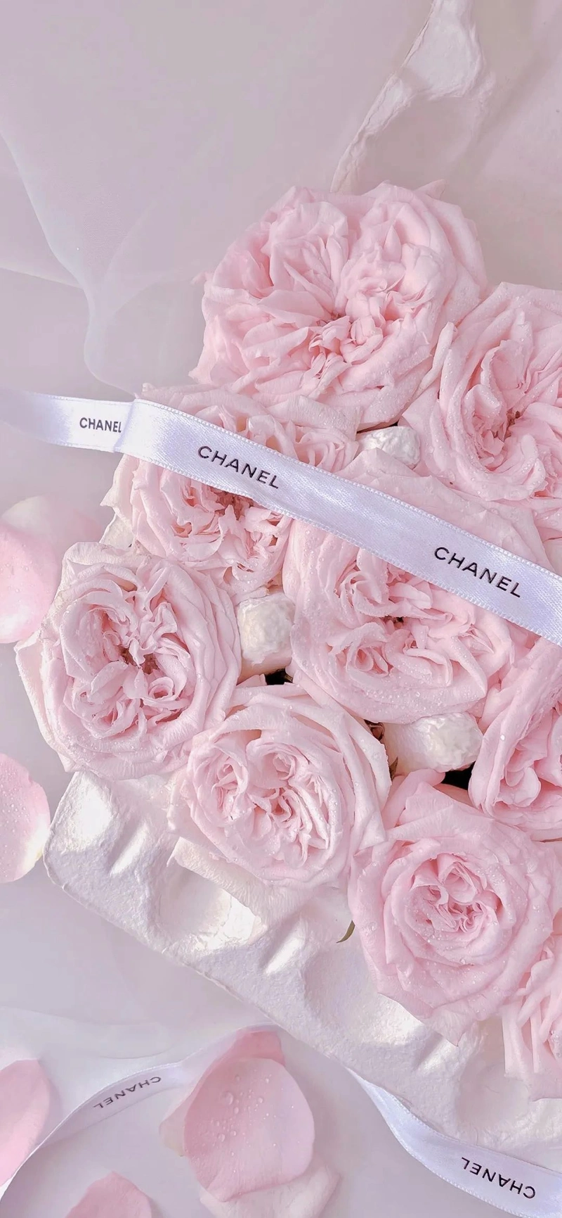 好看的壁纸:粉色系