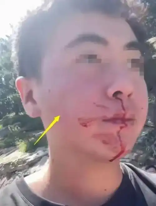 难以置信"崂山路虎王女士"打人风波竟能触动如此重量级"阵容"