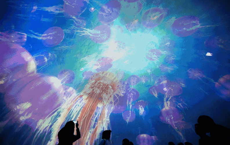 1226_773gif 动态图 动图