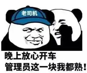 管理员_开车_放心表情