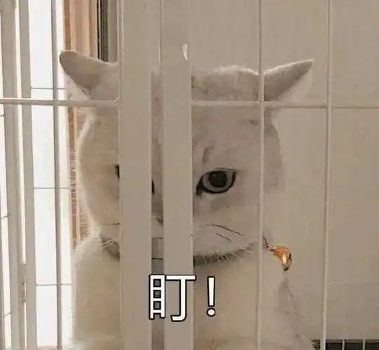 表情包无水印##搞笑表情包