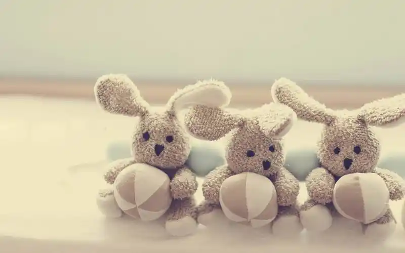唯美简约玩偶熊图片电脑桌面壁纸下载
