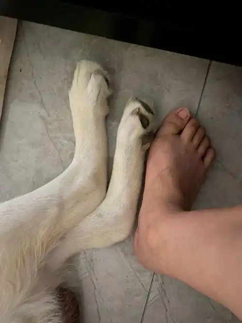 俺儿的脚还没有37码