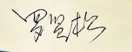 展开全部 手写签名