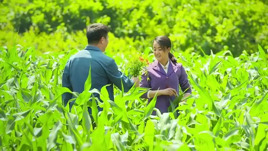 小草青青妻子在地里干活丈夫突然出现俩人甜蜜的让人羡慕