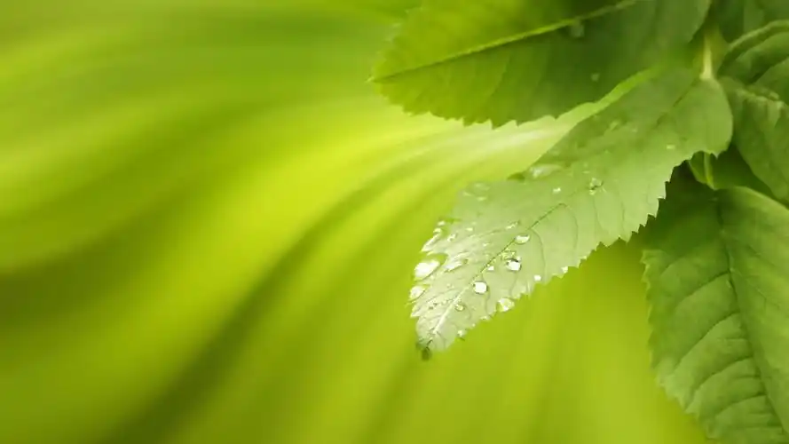 2023年抖音最火背景图片