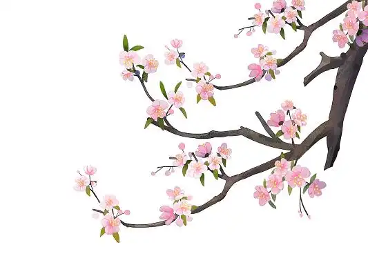 花枝中国素材-花枝中国元素图片下载-觅知网