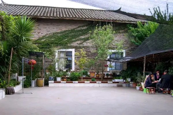 农家小院美颜模式醉人心