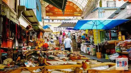 有一种贵阳的人生百态,叫贵钢花鸟市场