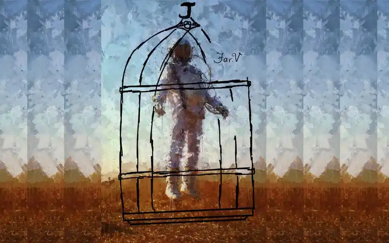 笼中鸟 | 笼中鸟以为自由飞翔是一种病_哔哩哔哩_bilibili