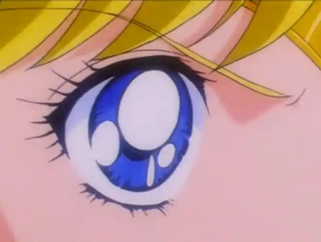 美少女战士爱野美奈子sailorvenus第五部眼部特写