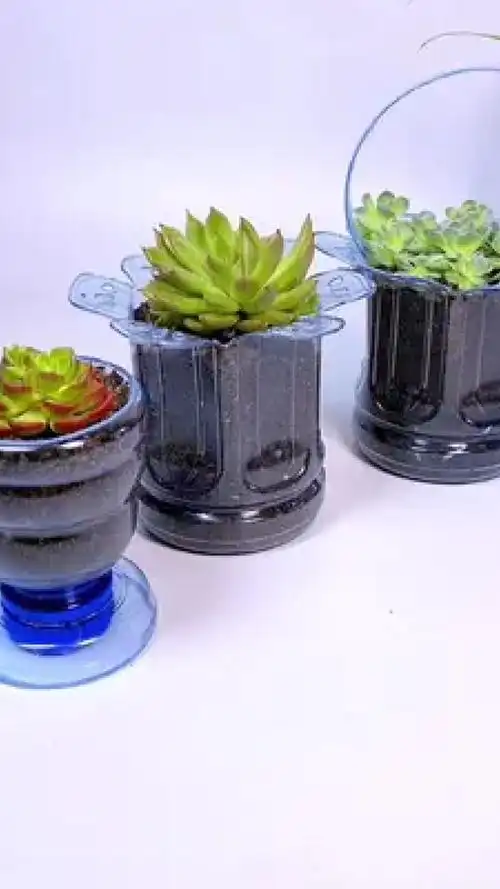 变废为宝 #手工 #空瓶子的妙用 #塑料瓶手工制作盆栽