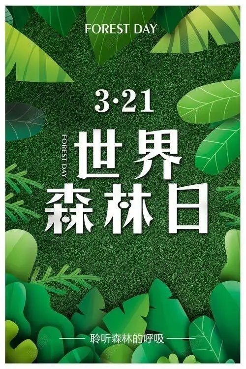 世界森林日—让天空永远湛蓝,让绿荫拥护家园