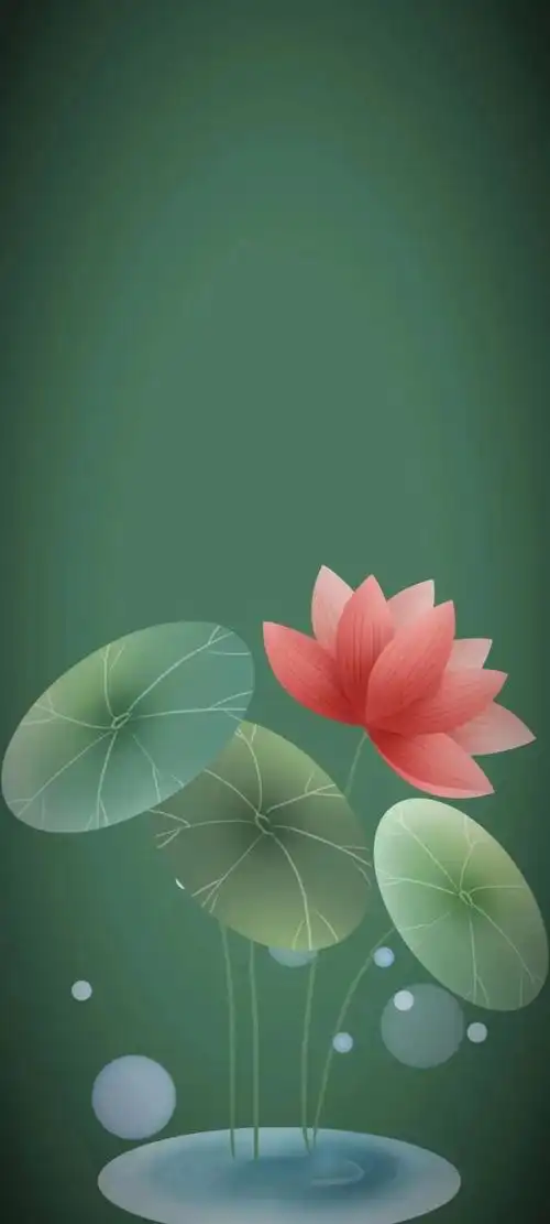 清新绿色护眼荷花壁纸