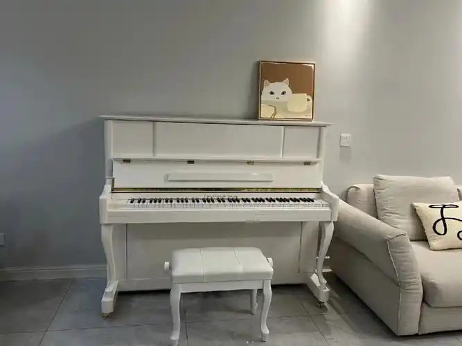 2万级别白色钢琴新选择