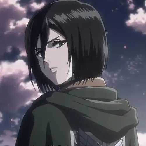 收集三笠好看的图