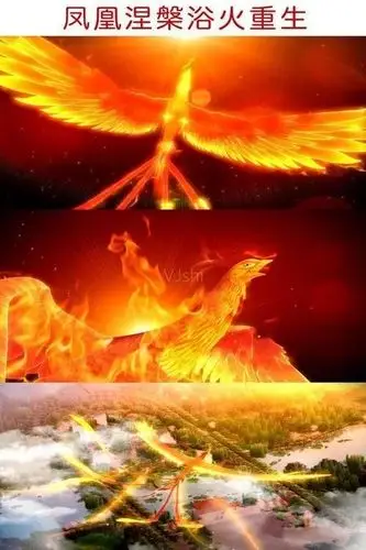 相传很久很久以前,一对凤凰飞到崂山地区上空,盘旋了很久,没