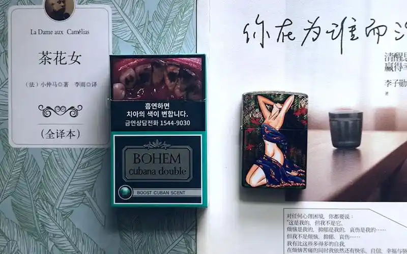 bro阿辰的cig时间第八期韩免宝恒树叶爆珠外烟我找到了整个夏天吸烟有