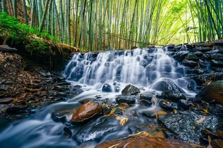 在盘州市竹海镇的层叠山峰中,六万余亩竹林将百姓们崭新的二层小楼