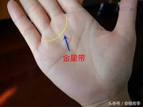 在感情线上方,中指与无名指根部手掌处,呈半月状,金星带起自食指和