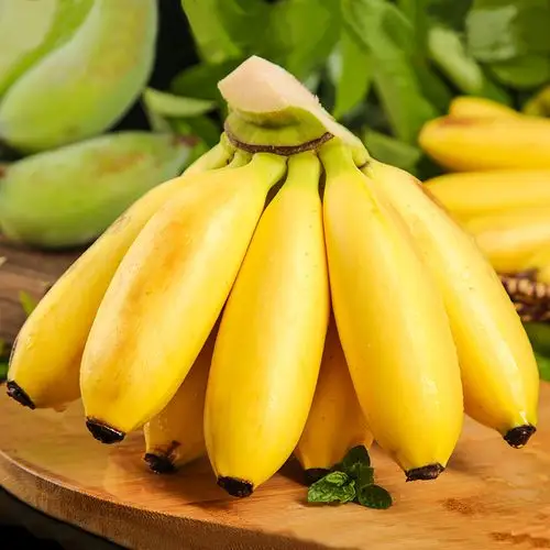 香蕉广西新鲜小米米蕉10斤水果皇帝焦小自然香蕉