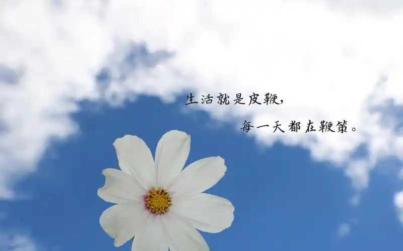 压力大心累带字图片