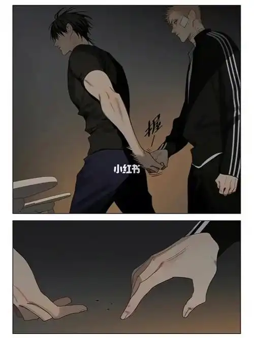 19天我看完继续骂骂咧咧