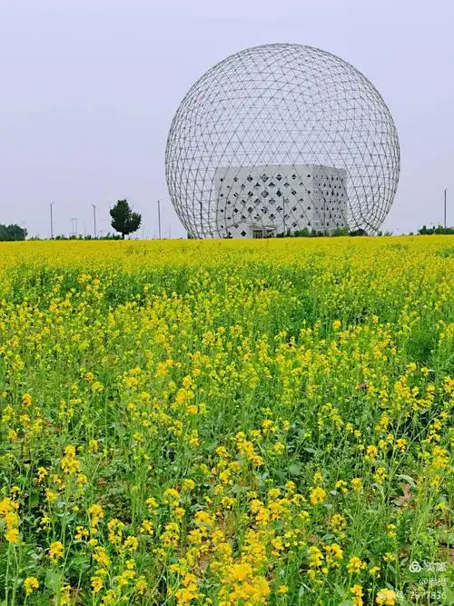 沈阳地标(建筑)(七)