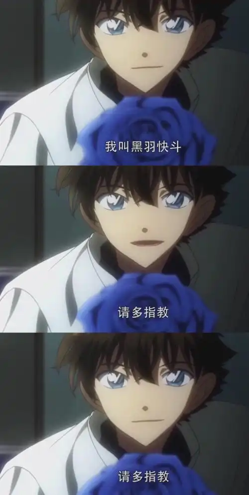 壁纸黑羽快斗怪盗基德