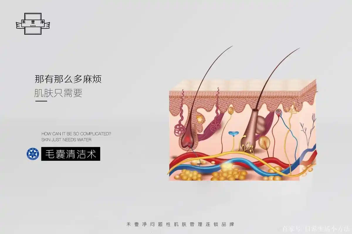 毛囊清洁术禾壹净2020发布!