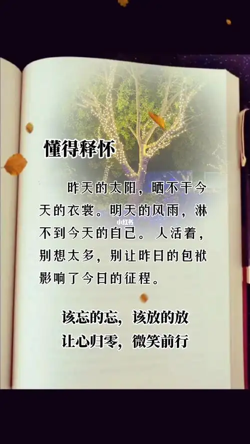 放下就是一种释怀