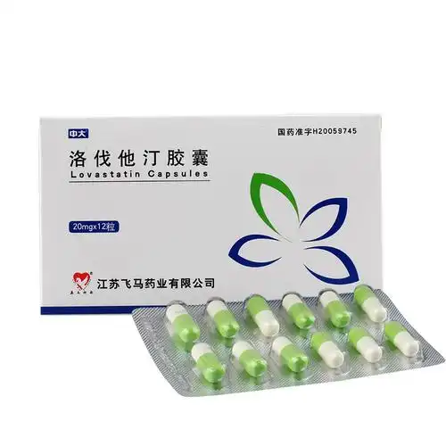 全药通-药品批发b2b网上商城平台洛伐他汀胶囊